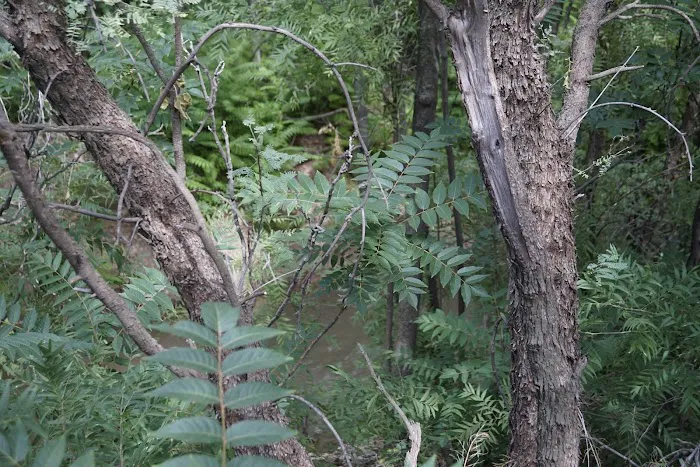 Clarkdale RV Picture 6