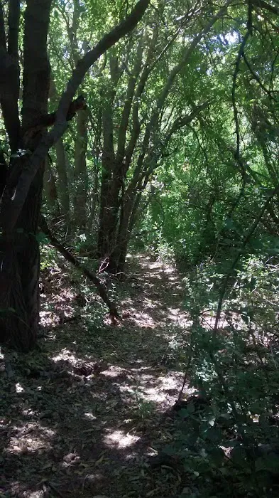 Clarkdale RV Picture 5