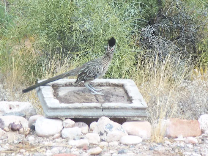 Rain Spirit RV Resort Picture 6