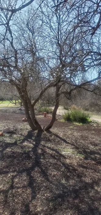 On The Greens Picture 5