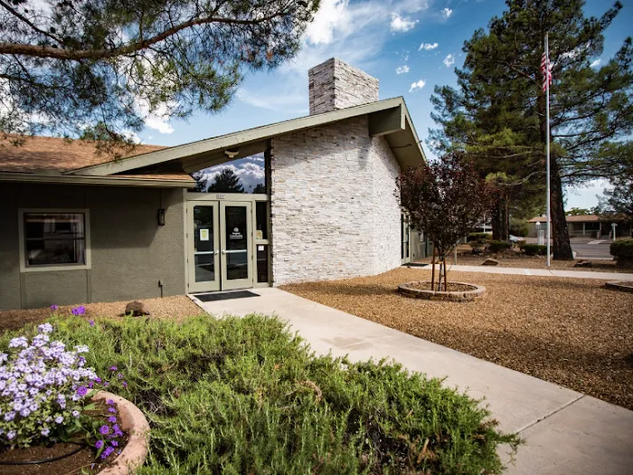 Pine Shadows Picture 3