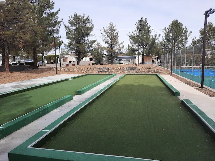 Pine Shadows Picture 1