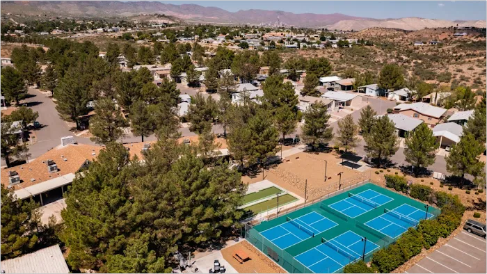 Pine Shadows Picture 2