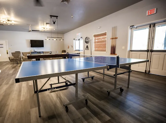 Pine Shadows Picture 4