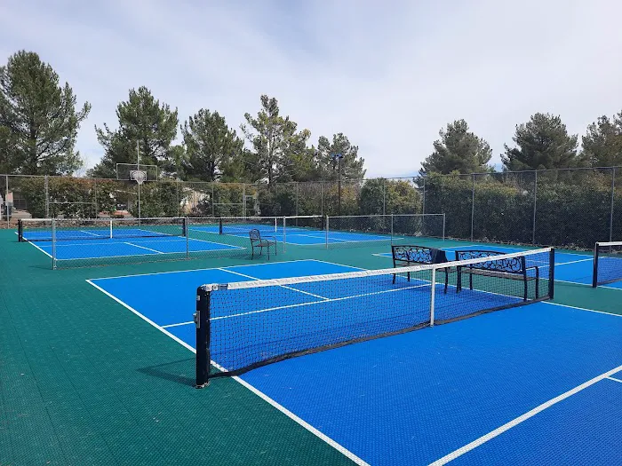 Pine Shadows Picture 8