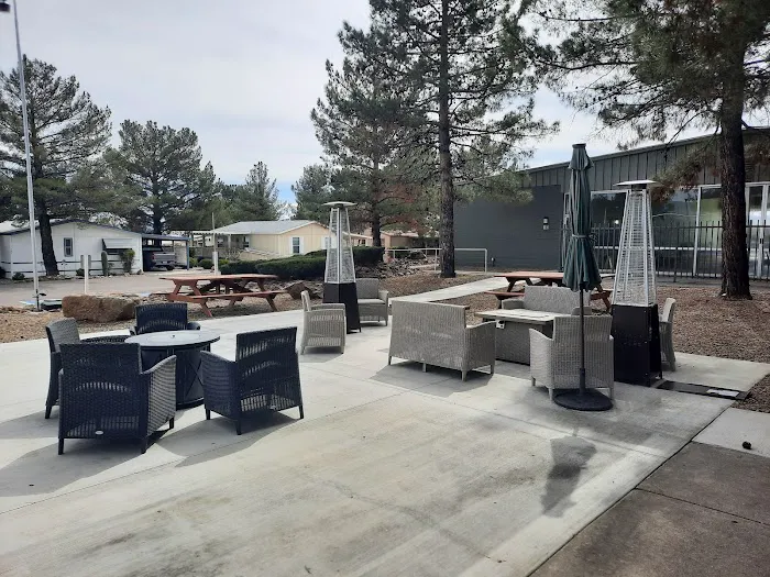 Pine Shadows Picture 10