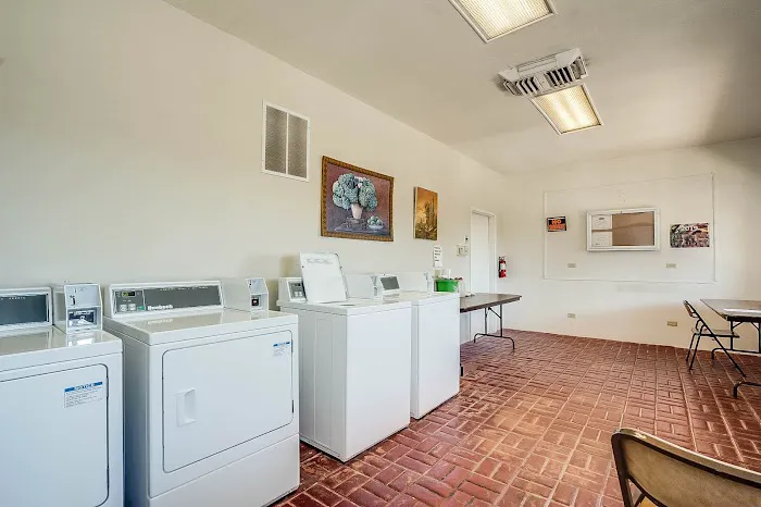 El Rio De Oro Picture 5