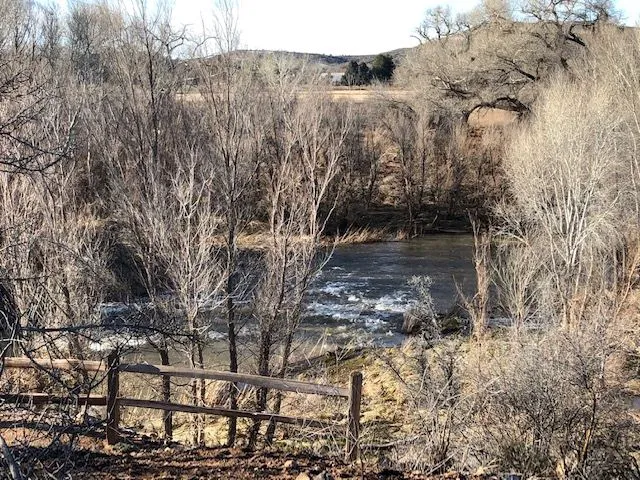 Cloverleaf RV Village Picture 3