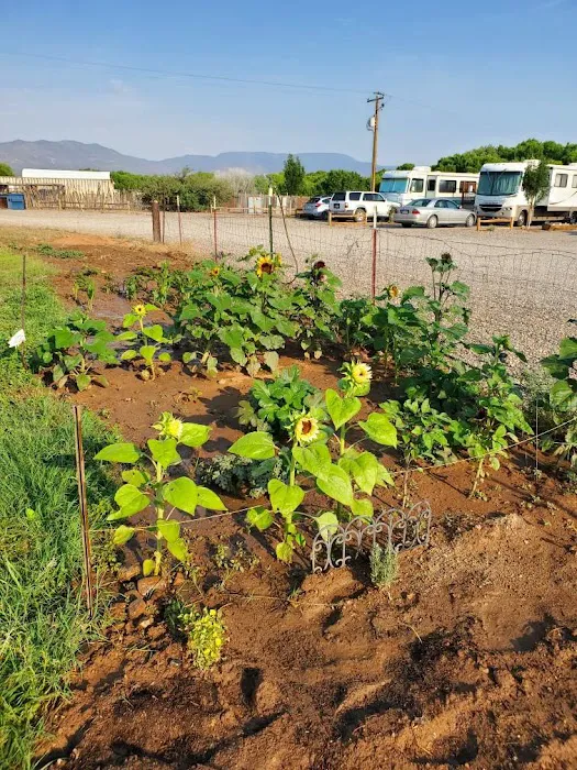 Cloverleaf RV Village Picture 2