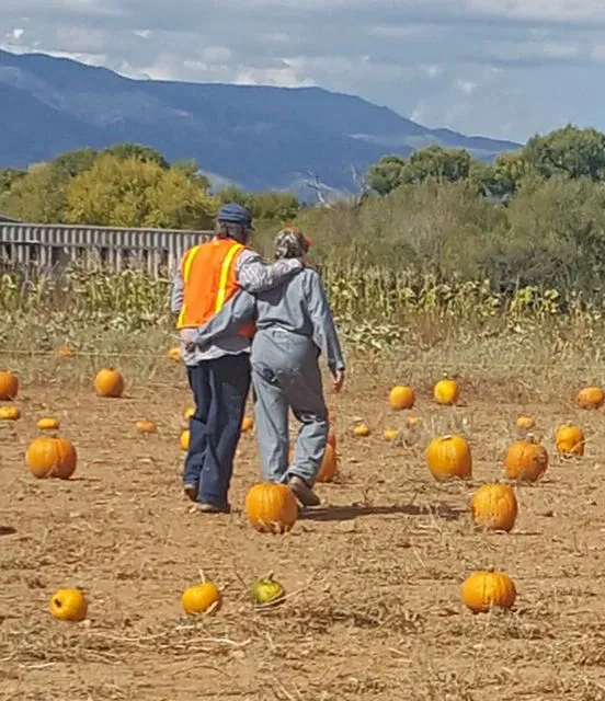 Cloverleaf RV Village Picture 5