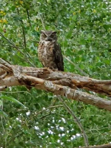 Cloverleaf RV Village Picture 7