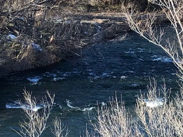 Cloverleaf RV Village Picture 8