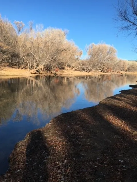 Cloverleaf RV Village Picture 10