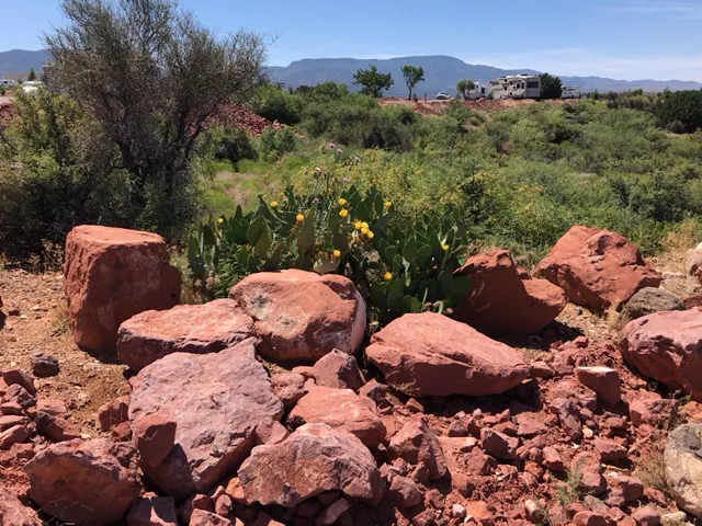 Cottonwood Springs RV Resort & Storage Picture 2