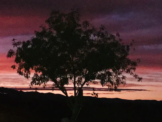 Cottonwood Springs RV Resort & Storage Picture 4