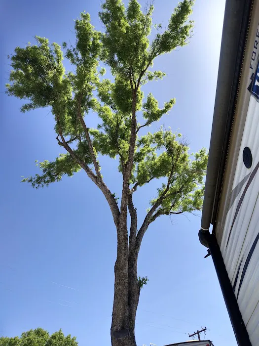 Rancho Verde RV Park Picture 8