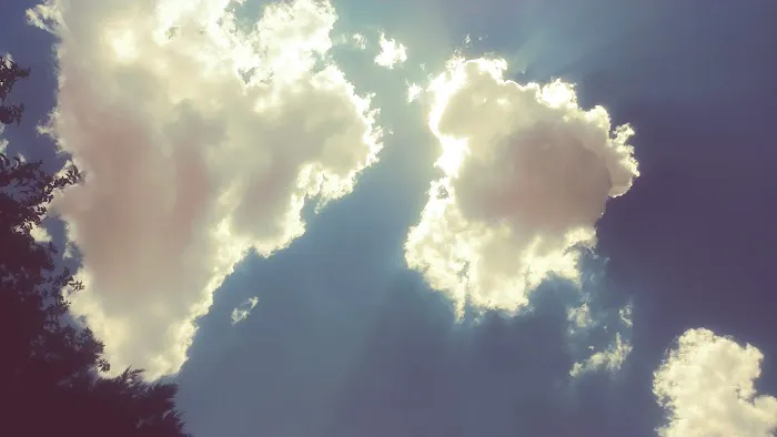 Krazy K RV Park Picture 6