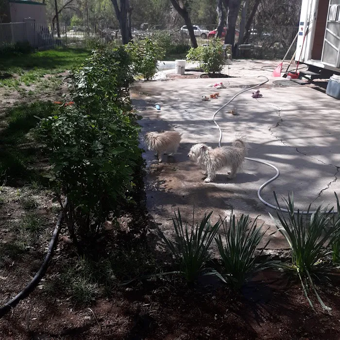 Clear Creek RV Park Picture 5