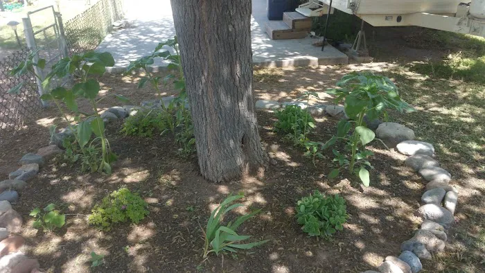 Clear Creek RV Park Picture 8