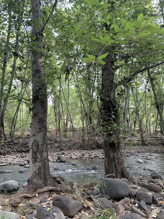 Zane Grey RV Village Picture 5