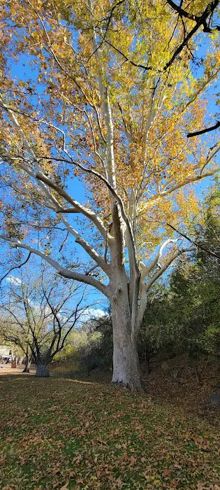 Zane Grey RV Village Picture 10