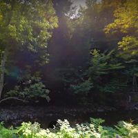 RMC Mobile Home Park ico