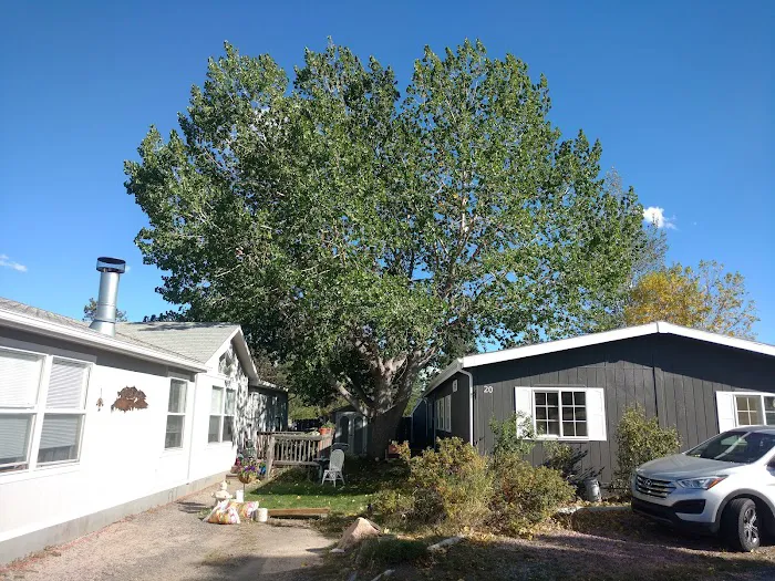 Larkspur Station Mobile Home Picture 3