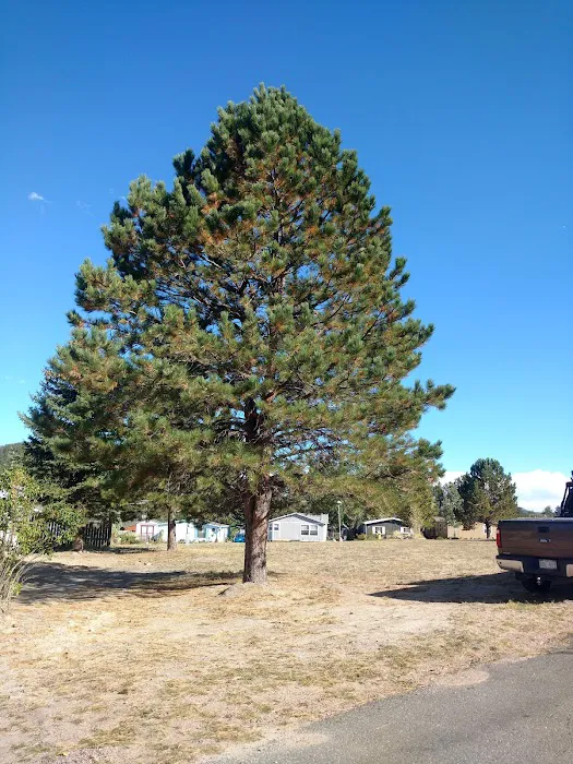 Larkspur Station Mobile Home Picture 1
