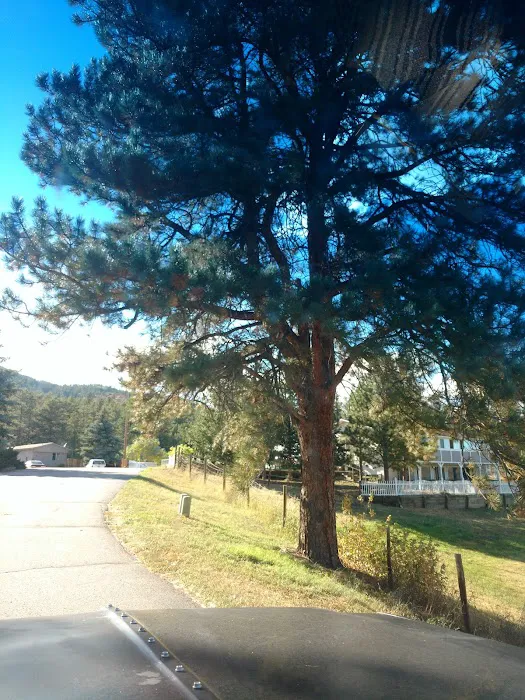 Larkspur Station Mobile Home Picture 5