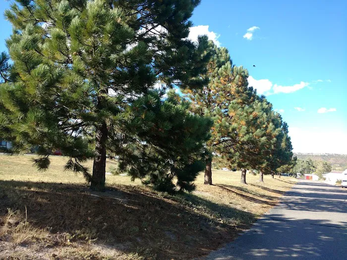 Larkspur Station Mobile Home Picture 10
