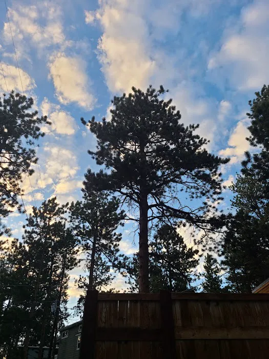 Peak View Park Picture 7