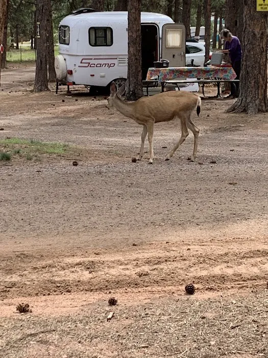 Diamond Campground Inc. Picture 4