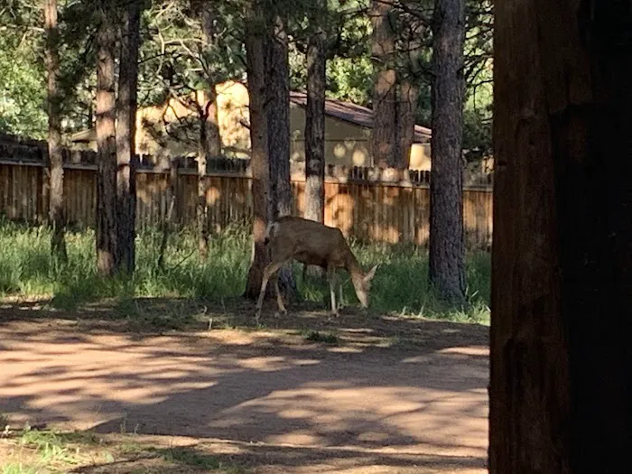 Diamond Campground Inc. Picture 6