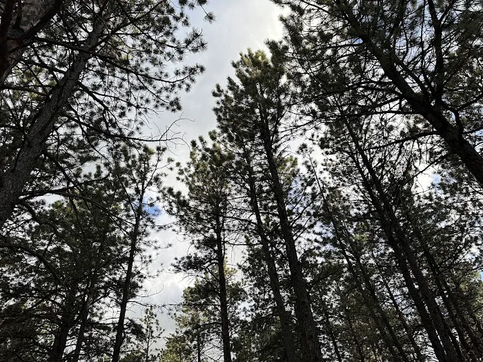 Diamond Campground Inc. Picture 8