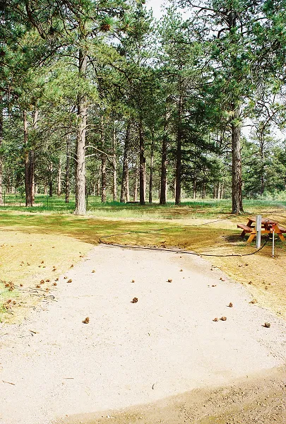 Casey's RV Hideaway Picture 4