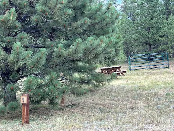 M Lazy C Ranch Picture 4