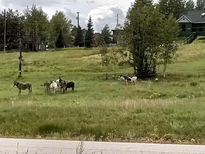 Cripple Creek RV Park (formerly Eagles Landing RV Park) Picture 4