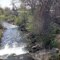 Bear Creek Village ico