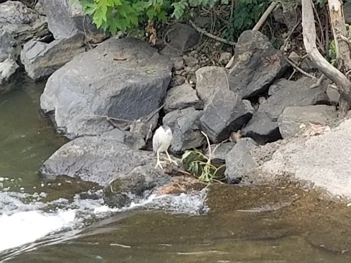 Bear Creek Village Picture 2