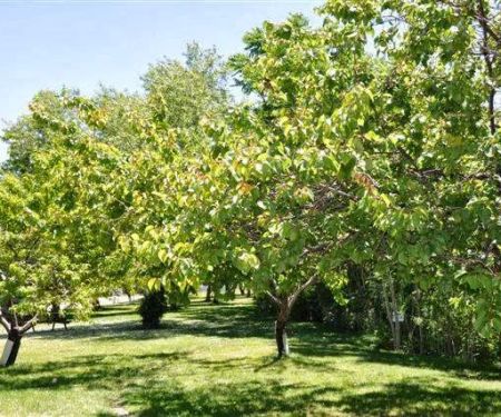 Flying Saucer RV Park