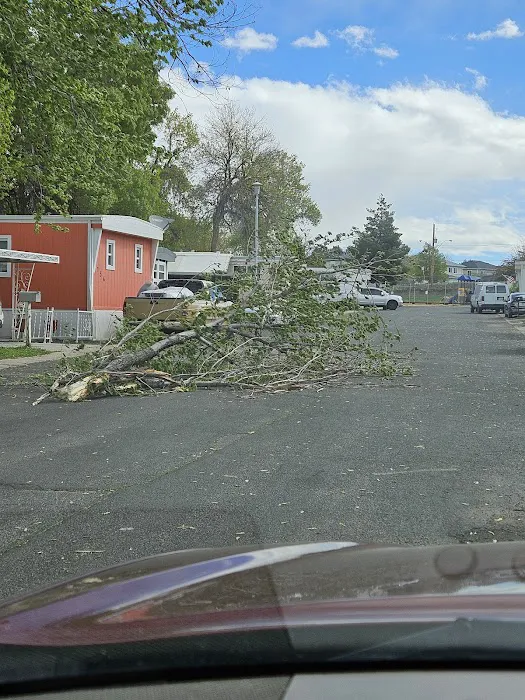 Hillcrest Village Picture 5