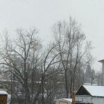 Golden Hills Park-Mobile Homes