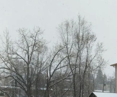 Golden Hills Park-Mobile Homes