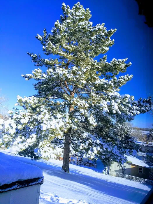 Highview Mobile Home Community Picture 7