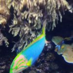 Franklin Mobile Home Park