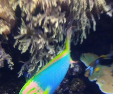 Franklin Mobile Home Park