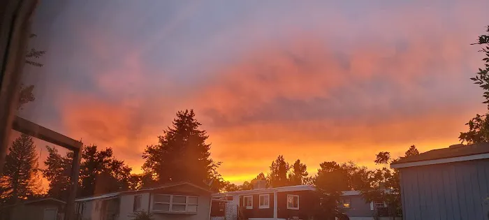 Friendly Village of the Rockies Picture 8