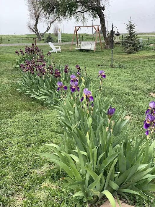 Galbraith Estates Mobile Home Park Picture 6