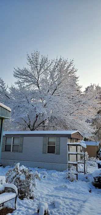 Parco Dello Zingaro Mobile Home Community Picture 5