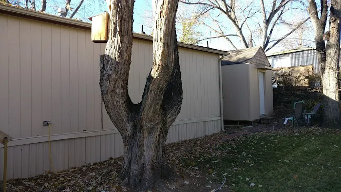 Parco Dello Zingaro Mobile Home Community Picture 8